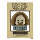 Figura de colección Sirius Black Prisionero – Harry Potter