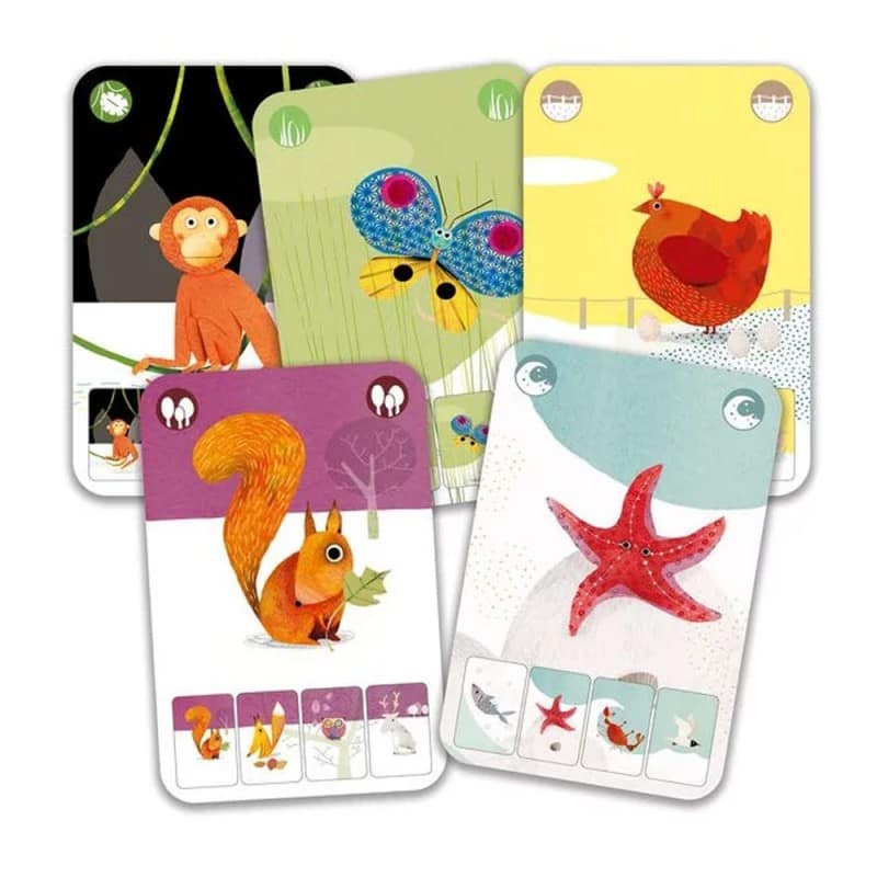 Mini Nature - Juego de cartas de 7 mini familias de animales Djeco