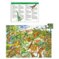 Puzzle observación dinosaurios Djeco 100 piezas + libro