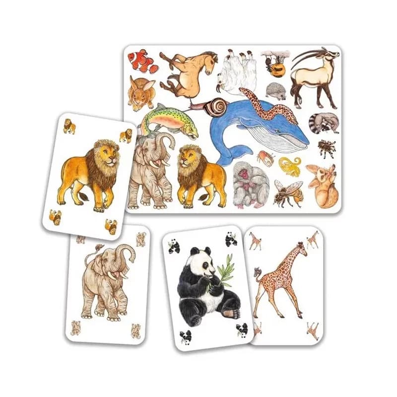 Zanimatch - Juego de cartas de observación y rapidez Djeco