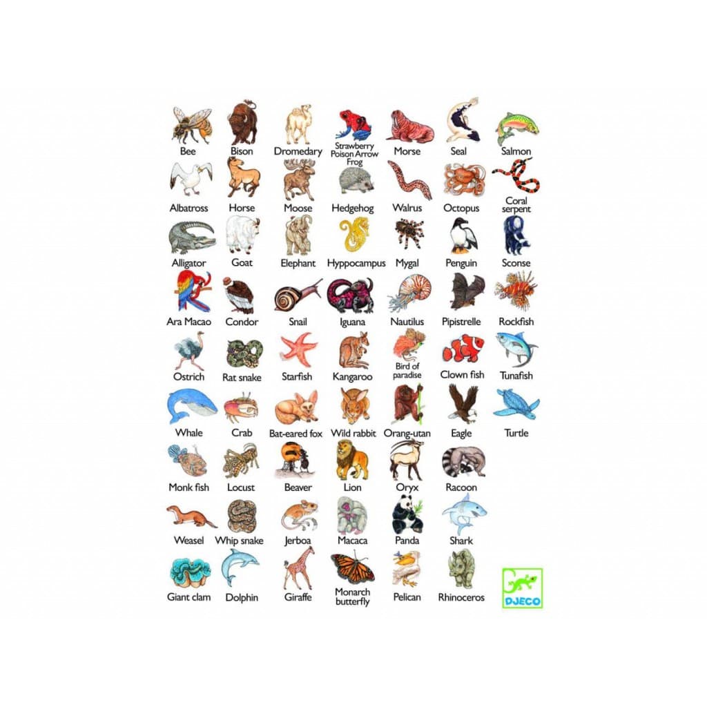 Zanimatch - Juego de cartas de observación y rapidez Djeco