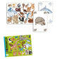Zanimatch - Juego de cartas de observación y rapidez Djeco